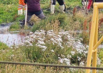 Denuncian vertimiento de aguas servidas desde toma en Punta Arenas,vecinos alertan riesgo sanitario