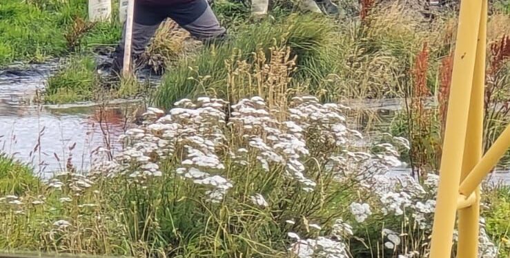 Denuncian vertimiento de aguas servidas desde toma en Punta Arenas,vecinos alertan riesgo sanitario