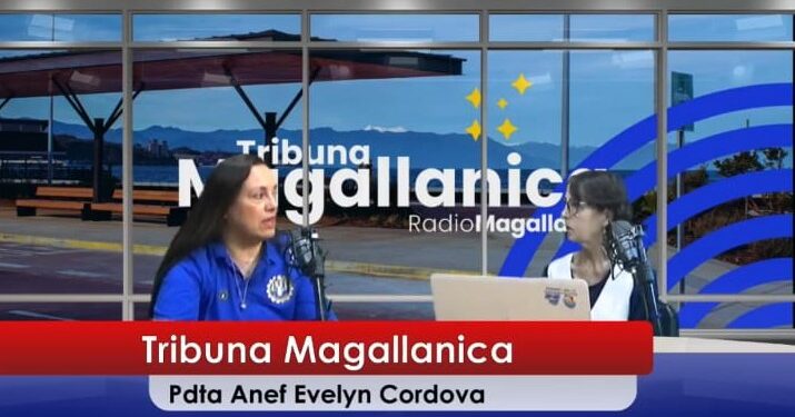 ANEF Magallanes define hoja de ruta para los primeros 100 días del gobierno.