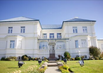 Corte rechaza recurso contra Google Chile por resultados de búsqueda y descarta vulneración de derechos