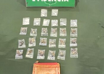 Carabineros detiene a sujeto con drogas y orden vigente en fiscalización en Ruta 9 Norte