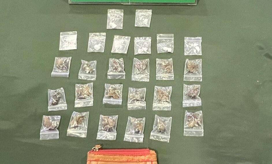 Carabineros detiene a sujeto con drogas y orden vigente en fiscalización en Ruta 9 Norte