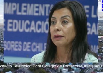 Gremio docente anuncia denuncias por falta de dotación y cuestiona gestión administrativa a días del inicio de clases
