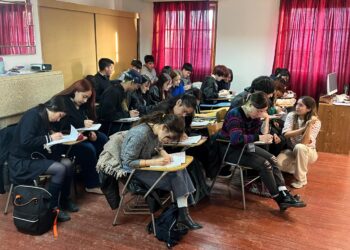 Convocan a profesores voluntarios para preuniversitario popular en Punta Arenas y Puerto Natales