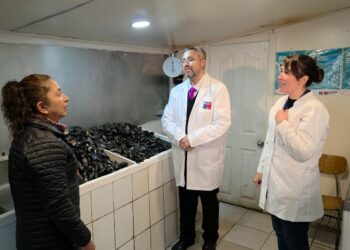 SEREMI de Salud intensifica fiscalizaciones por marea roja previo a Semana Santa en Magallanes