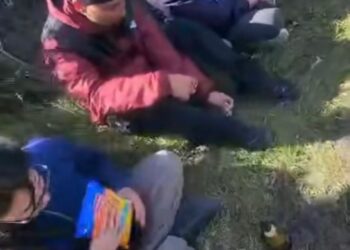 Denuncian agresión a conductores tras sorprender a trabajadores fumando en Torres del Paine