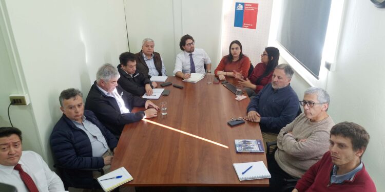 Empresas de energía presentan planes de invierno para garantizar suministro en Magallanes