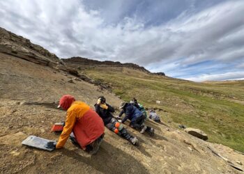 INACH participa en exitosa expedición paleontológica con hallazgos clave del Cretácico.
