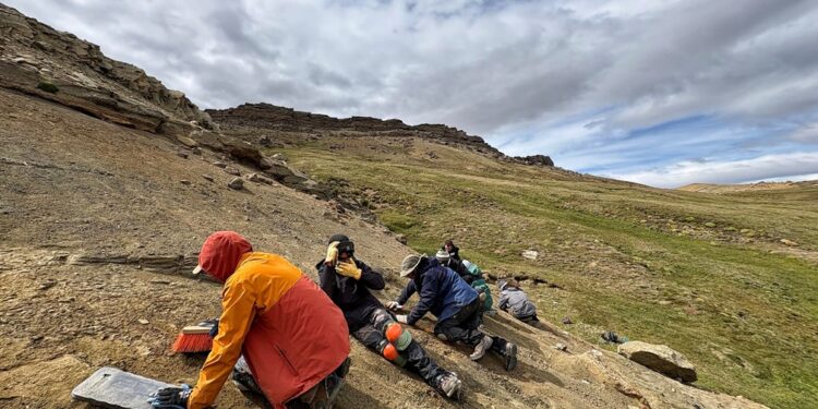 INACH participa en exitosa expedición paleontológica con hallazgos clave del Cretácico.