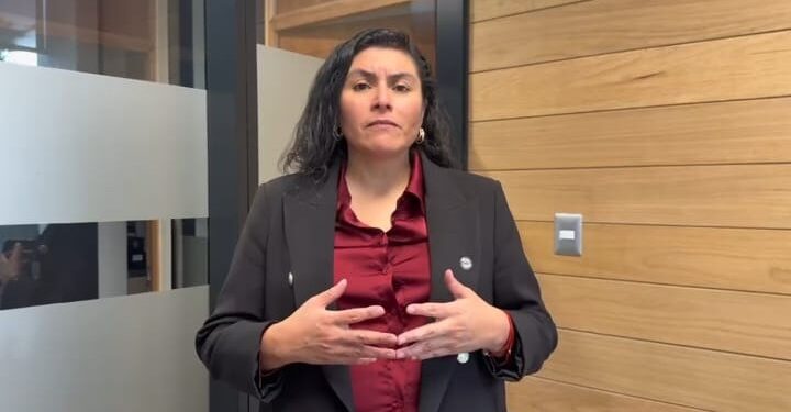 Formalizan a ciudadana extranjera por uso de documento público falso en Punta Arenas.
