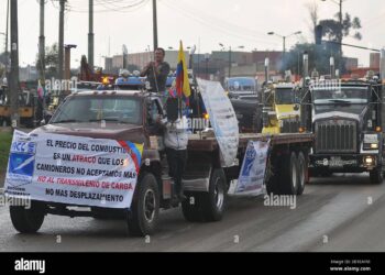 Camioneros en la mira por su actuar frente a las alzas de combustibles.