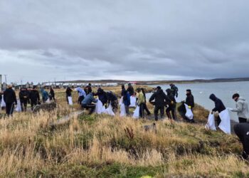 Autoridad Marítima y The Grange School se unen en exitosa jornada de limpieza de playas en Puerto Natales.