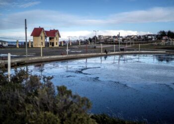 Investigan hallazgo de cuerpo sin vida en el Parque María Behety de Punta Arenas