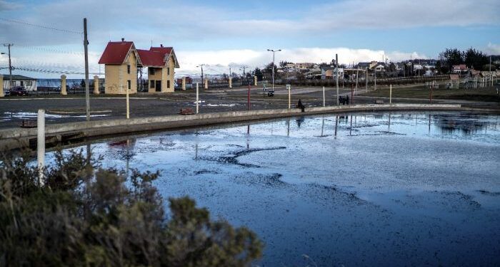 Investigan hallazgo de cuerpo sin vida en el Parque María Behety de Punta Arenas