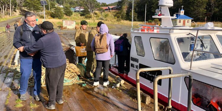 Alerta roja por pingüinos: Expertos U. de Chile identifican amenazas críticas en Chile y la Antártica.