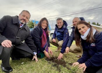 Punta Arenas conmemoró el Día de la Tierra con acciones concretas Plantación de especies nativas y arborización urbana.