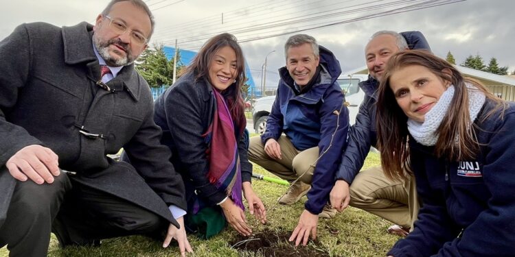 Punta Arenas conmemoró el Día de la Tierra con acciones concretas Plantación de especies nativas y arborización urbana.