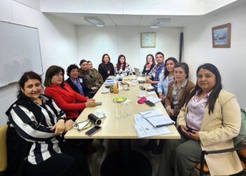 «Autoridades de Magallanes activan Subcomisión de Femicidios para fortalecer la coordinación y prevención regional».