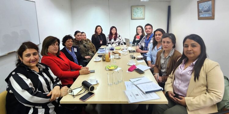 «Autoridades de Magallanes activan Subcomisión de Femicidios para fortalecer la coordinación y prevención regional».
