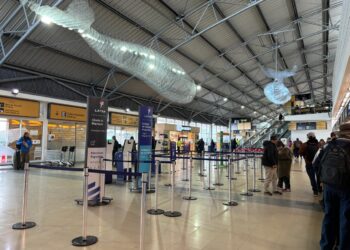 Bolsa olvidada moviliza al GOPE y cierra operaciones en el aeropuerto por una hora y media.