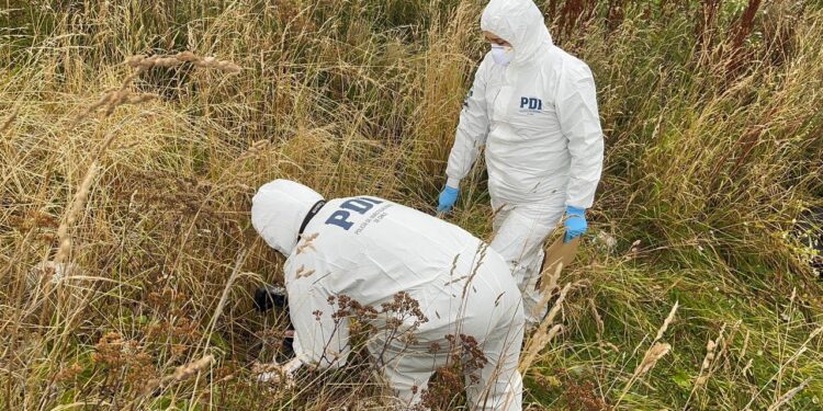 PDI encuentra arma cortante utilizada en homicidio en Punta Arenas