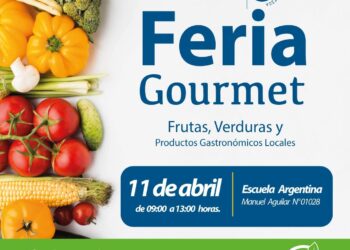 Feria Gourmet reunirá productos locales y promoverá el reciclaje en Punta Arenas