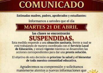 Liceo Hernando de Magallanes de Porvenir suspende clases por emergencia sanitaria ante plaga de palomas.
