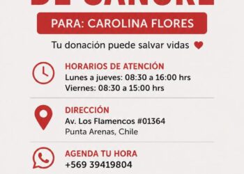 Urgente llamado a donar sangre en Punta Arenas para paciente local