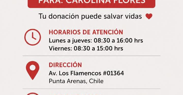 Urgente llamado a donar sangre en Punta Arenas para paciente local