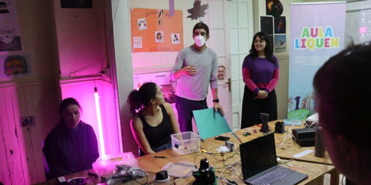 Ciencia abierta y arte se unen en Punta Arenas para estudiar ecosistemas subantárticos