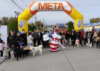 Más de 50 mascotas dieron vida a la Perrotón 2.5K en Porvenir, este fin de semana.