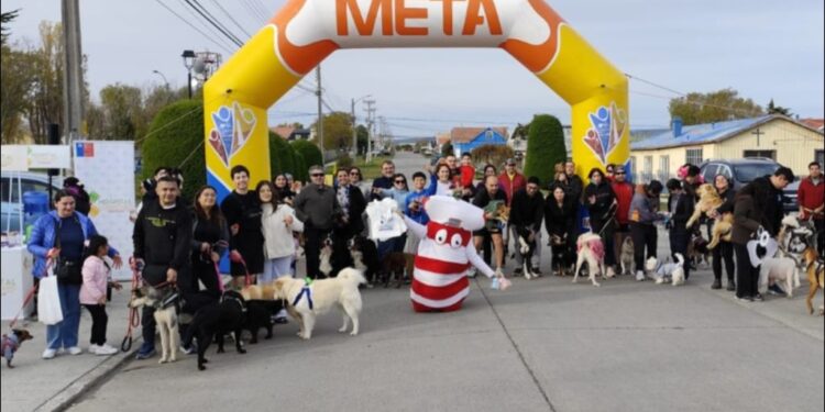 Más de 50 mascotas dieron vida a la Perrotón 2.5K en Porvenir, este fin de semana.
