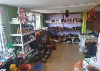 ¡Y se atrevió!: El renacer de «Alegreda», la emprendedora que transformó la crisis en éxito a los pies de La Bombonera.