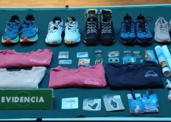 Carabineros de la SIP detienen a autor de millonario hurto que afectó a local comercial en Puerto Natales.