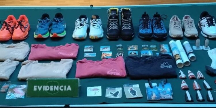 Carabineros de la SIP detienen a autor de millonario hurto que afectó a local comercial en Puerto Natales.
