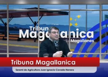 Seremi de Agricultura de Magallanes traza hoja de ruta: Foco en seguridad rural, control de depredadores y potencial del guanaco.