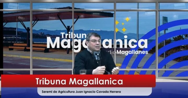 Seremi de Agricultura de Magallanes traza hoja de ruta: Foco en seguridad rural, control de depredadores y potencial del guanaco.