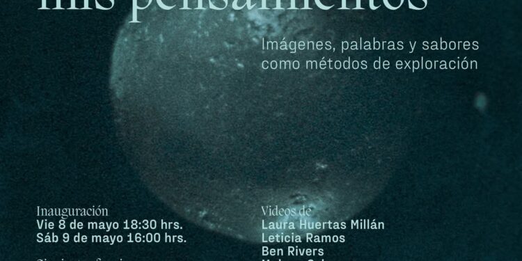 Museo de Historia Natural de Río Seco invita a viaje sensorial con ciclo de cortometrajes durante mayo.