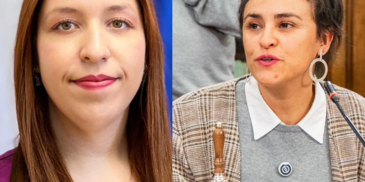 Parlamentaria y consejera critican silencio de autoridades tras caso de femicidio frustrado en Porvenir