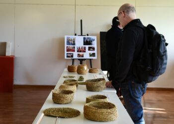 Abren fondos concursables de CONADI para potenciar expresiones artísticas de pueblos originarios en la zona.
