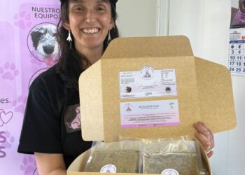 Corfo abre convocatorias exclusivas para impulsar emprendimientos liderados por mujeres en Chile