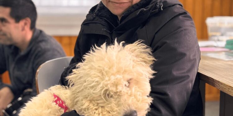 Operativo de esterilización en Puerto Natales alcanzó meta de 1.500 mascotas intervenidas