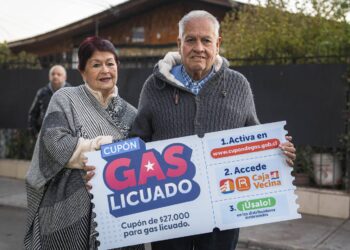 Más de 680 hogares de Cabo de Hornos podrán acceder a Cupón de Gas Licuado para enfrentar el invierno