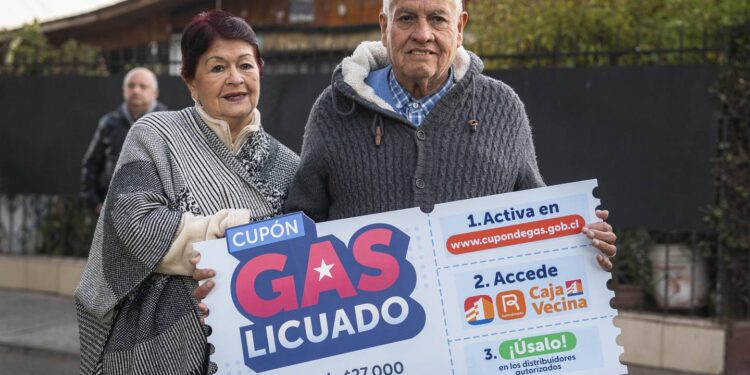 Más de 680 hogares de Cabo de Hornos podrán acceder a Cupón de Gas Licuado para enfrentar el invierno
