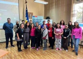 Docentes de Educación Física en Punta Arenas se capacitan con SENDA en prevención de consumo de sustancias.