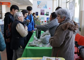 Hospital de Puerto Natales realizó segunda versión del Trafkintu y reunió a comunidad en torno al intercambio cultural mapuche
