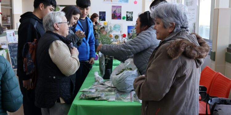 Hospital de Puerto Natales realizó segunda versión del Trafkintu y reunió a comunidad en torno al intercambio cultural mapuche