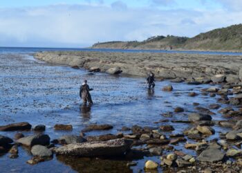 EXPOMAR 2026 invita a la comunidad de Punta Arenas a descubrir la ciencia del mar austral