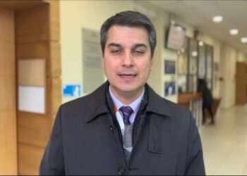Dos detenidos en Punta Arenas tras denuncia por violencia intrafamiliar que reveló cultivo de cannabis y microtráfico.