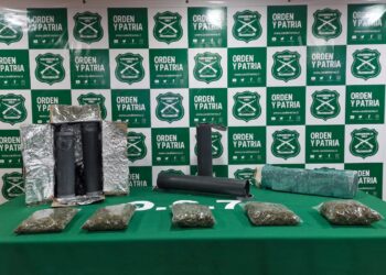 O.S.7 de Carabineros decomisa cerca de dos kilos de marihuana enviados a Punta Arenas en tubos de PVC